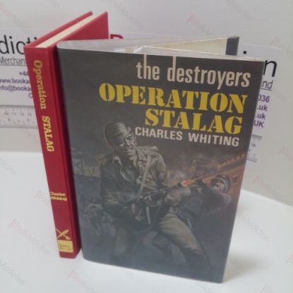 Picture of The Destroyers : Operation Stalag