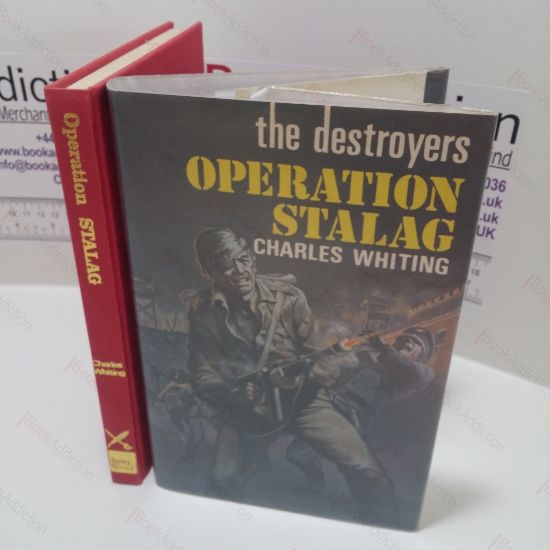 Picture of The Destroyers : Operation Stalag