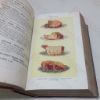 Picture of Mrs Beeton's Household Management: A Complete Cookery Book with Sections on Household Work, Servant's Duties, Labour Saving, Carving and Trussing, Table Decoration, the Art of 'Using Up', the Home Doctor, etc