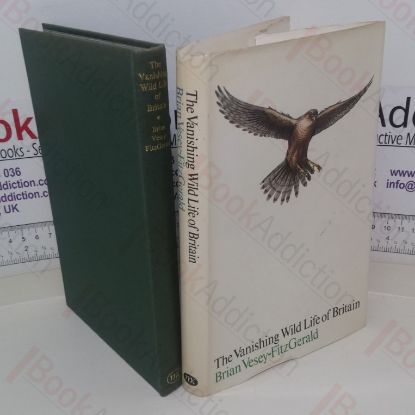 Picture of Vanishing Wildlife Of Britain