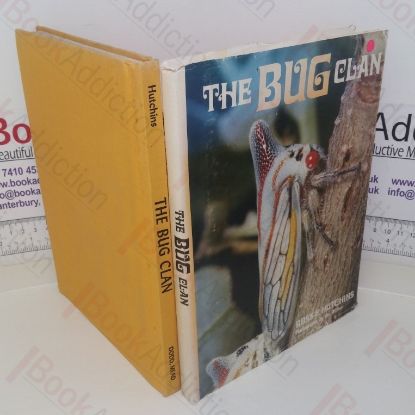 Picture of The Bug Clan