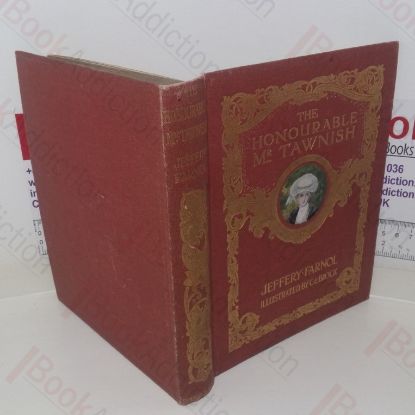 Picture of The Honourable Mr Tawnish