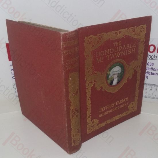 Picture of The Honourable Mr Tawnish