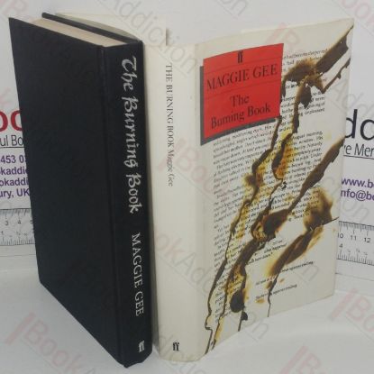 Picture of The Burning Book