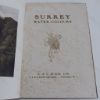 Picture of Surrey Water-Colours
