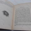 Picture of Ocean Gardens: The History of the Marine Aquarium, and the Best Methods now Adopted for the Establishment and Preservations