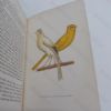 Picture of The Canary : Its Varieties Management, and Breeding, With Portraits of the Author's Own Birds