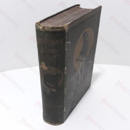 Picture of Perseverance Island, or the Robinson Crusoe of the Nineteenth Century