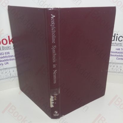 Picture of Acetylcholine Synthesis in Neurons