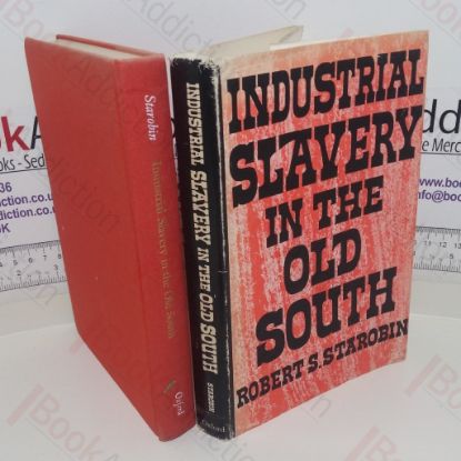 Picture of Industrial Slavery in the Old South