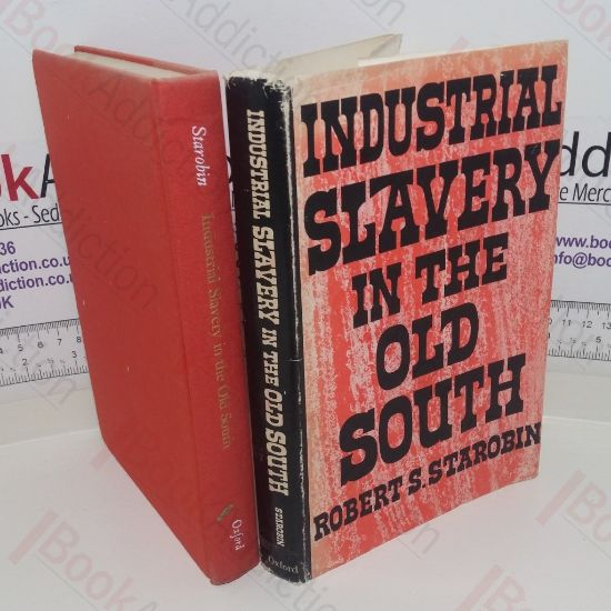 Picture of Industrial Slavery in the Old South