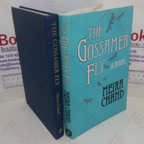 Picture of The Gossamer-Fly