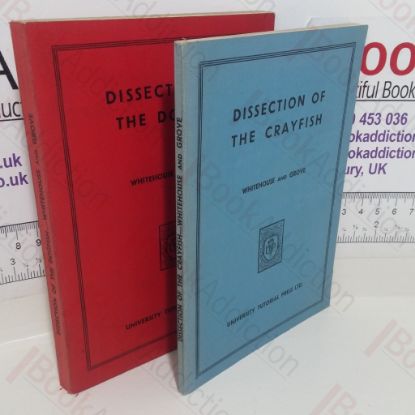 Picture of Dissection of the Dogfish; Dissection of the Crayfish