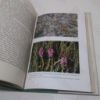 Picture of Wild Flowers: Botanising Britain (New Naturalist series, No. 5)