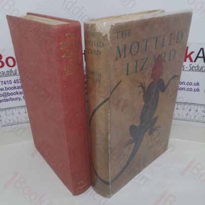 Picture of The Mottled Lizard