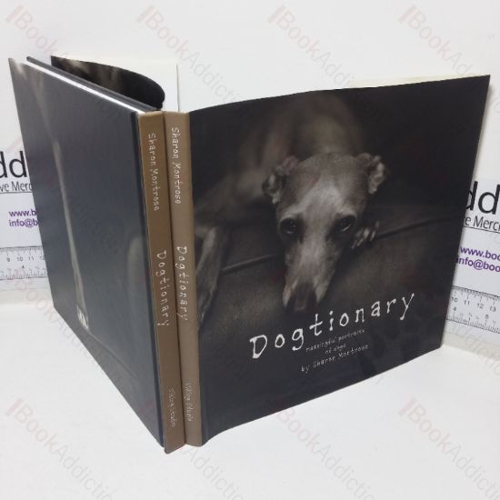 Picture of Dogtionary: Meaningful Portraits of Dogs