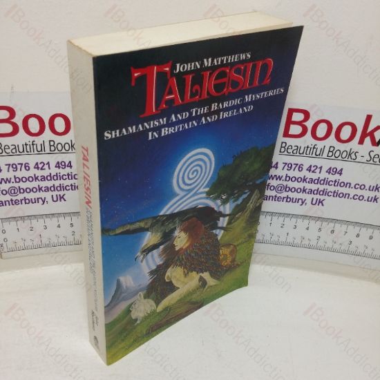 Picture of Taliesin: Shamanism and the Bardic Mysteries in Britain and Ireland