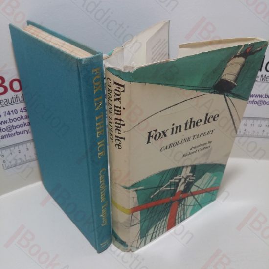 Picture of Fox in the Ice