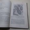 Picture of Elementary Microbiology