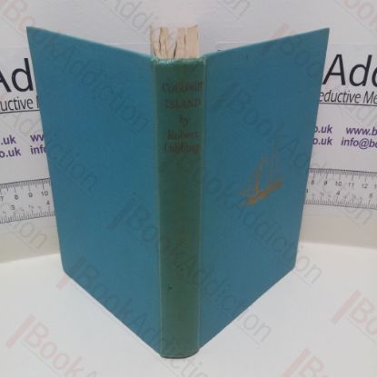 Picture of Coconut Island : Or The Adventures of Two Children in the South Seas