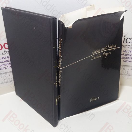 Picture of Diving and Flying : Poems and Drawings