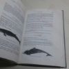 Picture of The Handbook of British Mammals