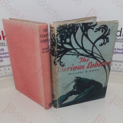 Picture of The Curious Lobster