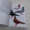 Picture of The Magna Illustrated Guide to Pigeons of the World (Magna Illustrated Guides)