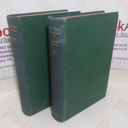 Picture of The Magic Mountain (Volumes One and Two)