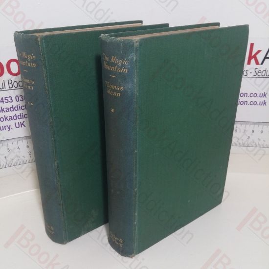 Picture of The Magic Mountain (Volumes One and Two)