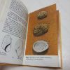 Picture of The Observer's Book of Seashells of the British Isles (Oberver's Pocket series, No. 70)