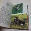 Picture of The Observer's Book of Pets (Observer's Pocket Book series, No. 72)