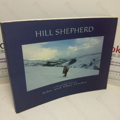 Picture of Hill Shepherd