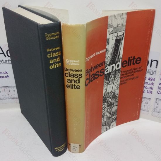 Picture of Between Class and Elite: The Evolution of the British Labour Movement - A Sociological Study