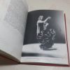 Picture of The Art of Flamenco