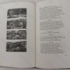 Picture of The Illustrations of William Blake for Thornton's Virgil, with the First Eclogue and the Imitation