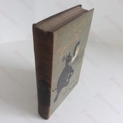 Picture of Wonders in Monsterland