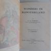 Picture of Wonders in Monsterland