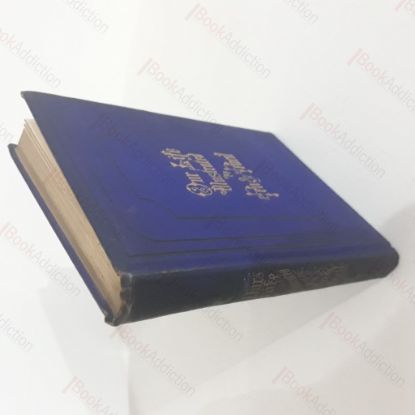 Picture of Our Life, Illustrated by Pen and Pencil