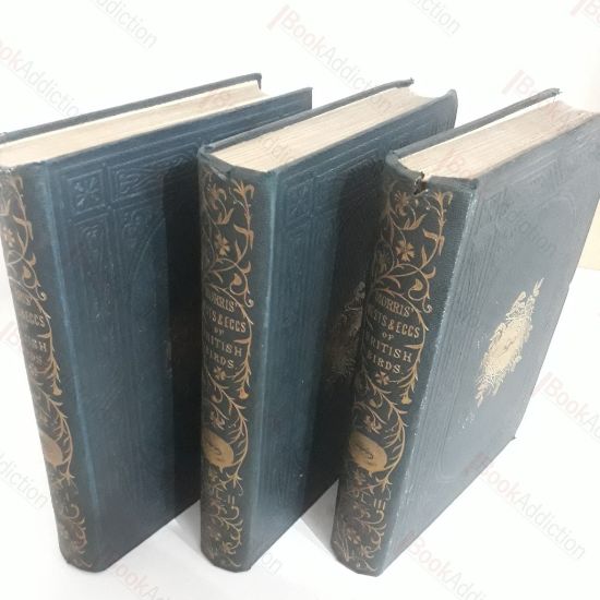 Picture of Morris's Nests and Eggs of British Birds (Volumes I, II and III)