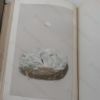 Picture of Morris's Nests and Eggs of British Birds (Volumes I, II and III)