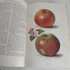 Picture of The Fruit Grower's Guide (Volumes I and II)