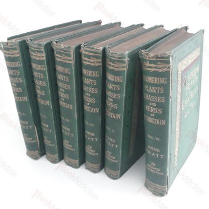 Picture of The Flowering Plants, Grasses, Sedges and Ferns of Great Britain, and their Allies The Club Mosses, Pepperworts and Horsetails (Six volumes)