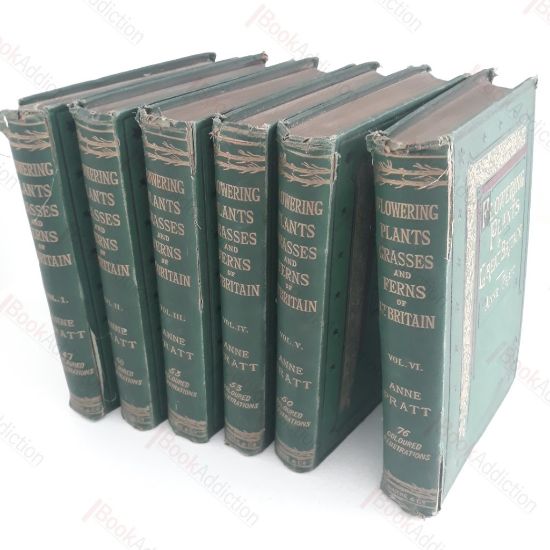 Picture of The Flowering Plants, Grasses, Sedges and Ferns of Great Britain, and their Allies The Club Mosses, Pepperworts and Horsetails (Six volumes)