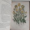 Picture of The Flowering Plants, Grasses, Sedges and Ferns of Great Britain, and their Allies The Club Mosses, Pepperworts and Horsetails (Six volumes)