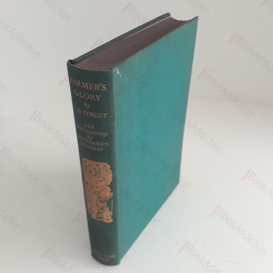 Picture of Farmer's Glory