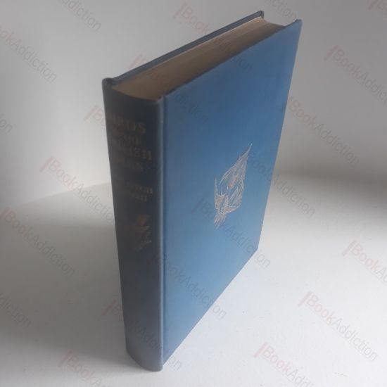 Picture of Birds of the British Isles