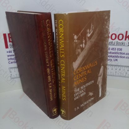 Picture of Cornwall's Central Mines: Southern District, 1810-95