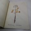Picture of Redoute Lilies Print Book: 50 Selected Prints