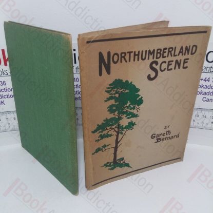 Picture of Northumberland Scene